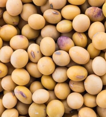 soya beans